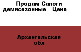 Продам Сапоги демисезонные › Цена ­ 400 - Архангельская обл., Архангельск г. Дети и материнство » Детская одежда и обувь   